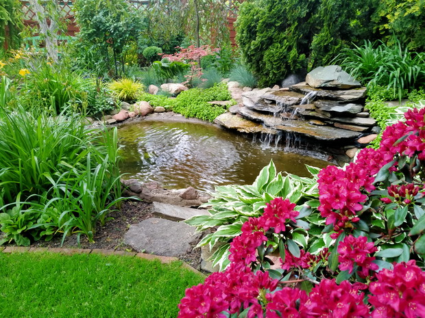 Funkie, liliowce, trawy, rozchodniki oraz klon japoński