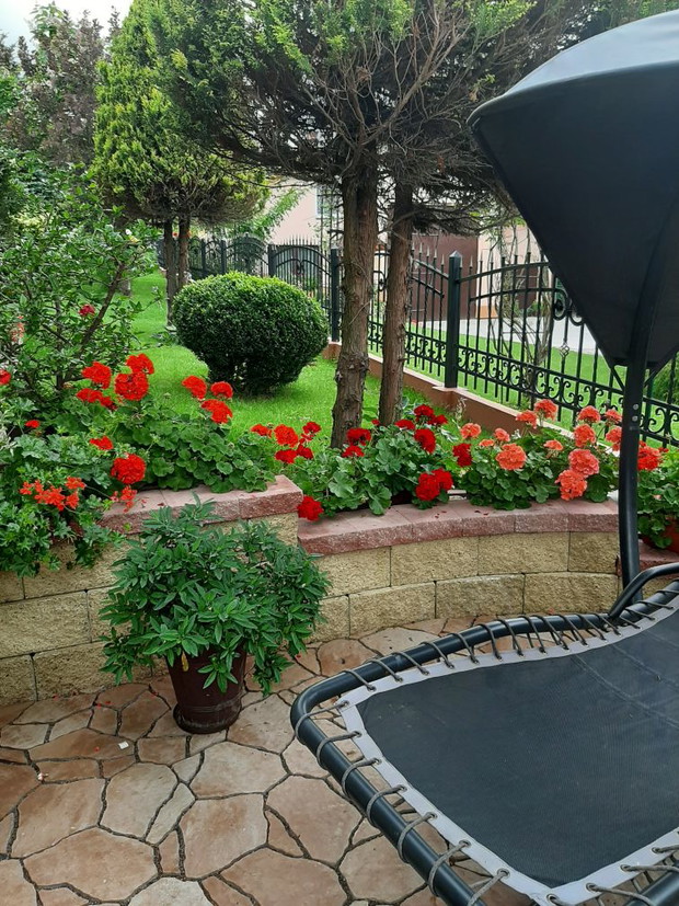 Kwiaty dające radość