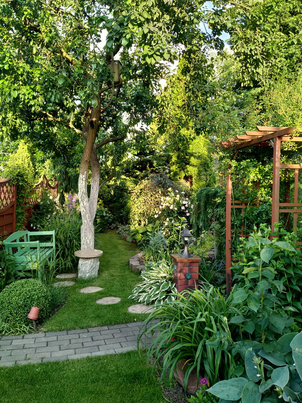 Ławeczka i kamienny stoliczek  w cieniu renklody