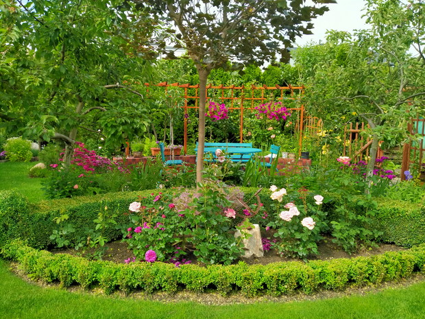 Różanka przed nowym kącikiem wypoczynkowym