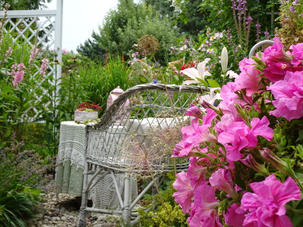Surfinie w romantycznym kąciku