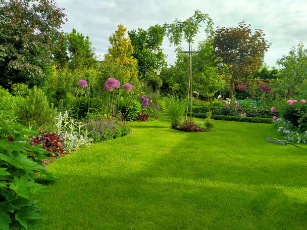 Trawnik okalają rabaty kwiatowe
