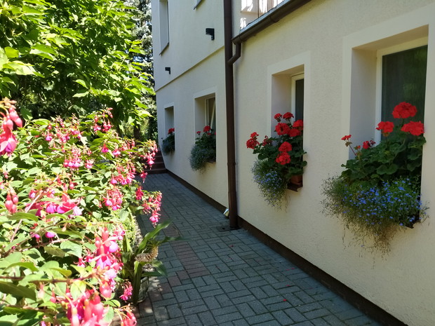 Wejście z ulicy do ogrodu