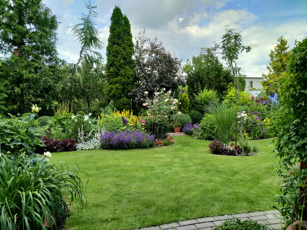 Widok na rabaty bylinowe