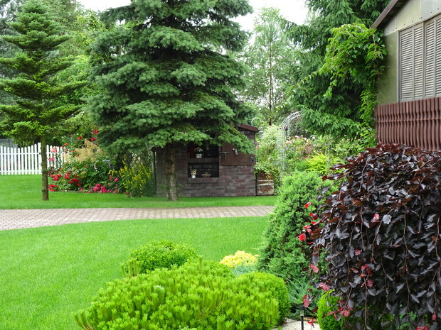 Widok z przedogródka