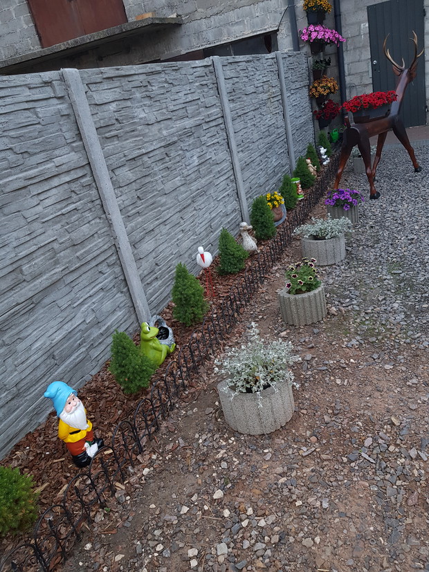 Mój piękny zwierzyniec