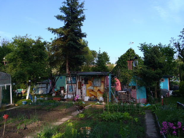 Widok na całą działkę, altankę i drzewa, które mają już ponad 20 lat