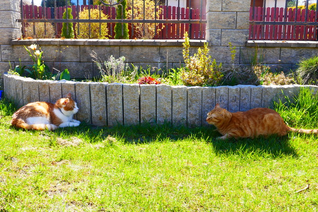 Bliskie spotkania 3 stopnia