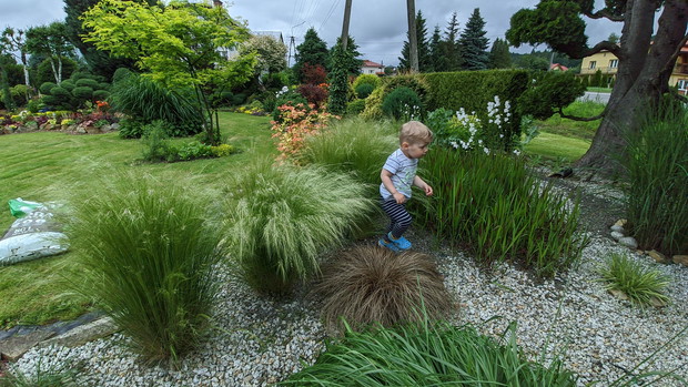 Buszujący w trawach... ;)
