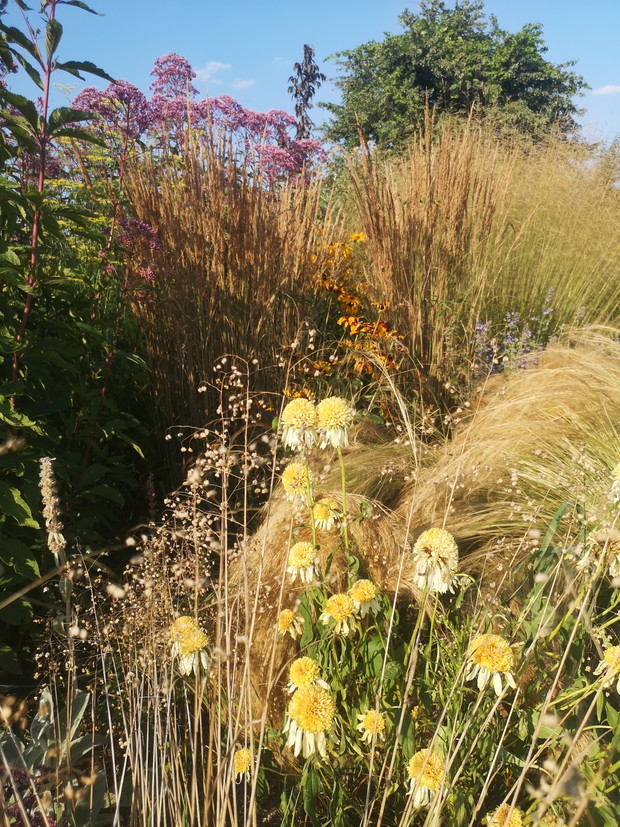 Nic nie musisz robić