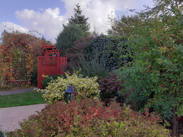 Ogród jesienią