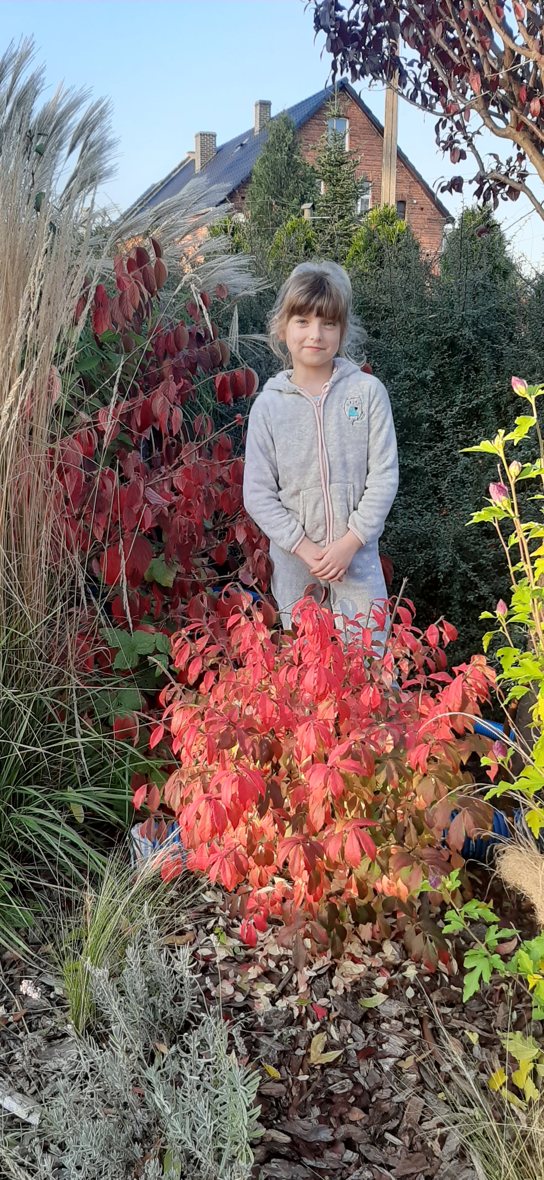 Rodzinny konkurs ogrodniczy