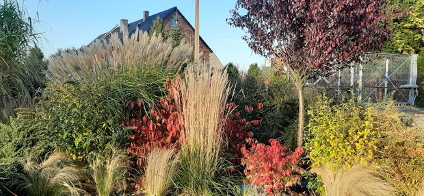 Rodzinny konkurs ogrodniczy