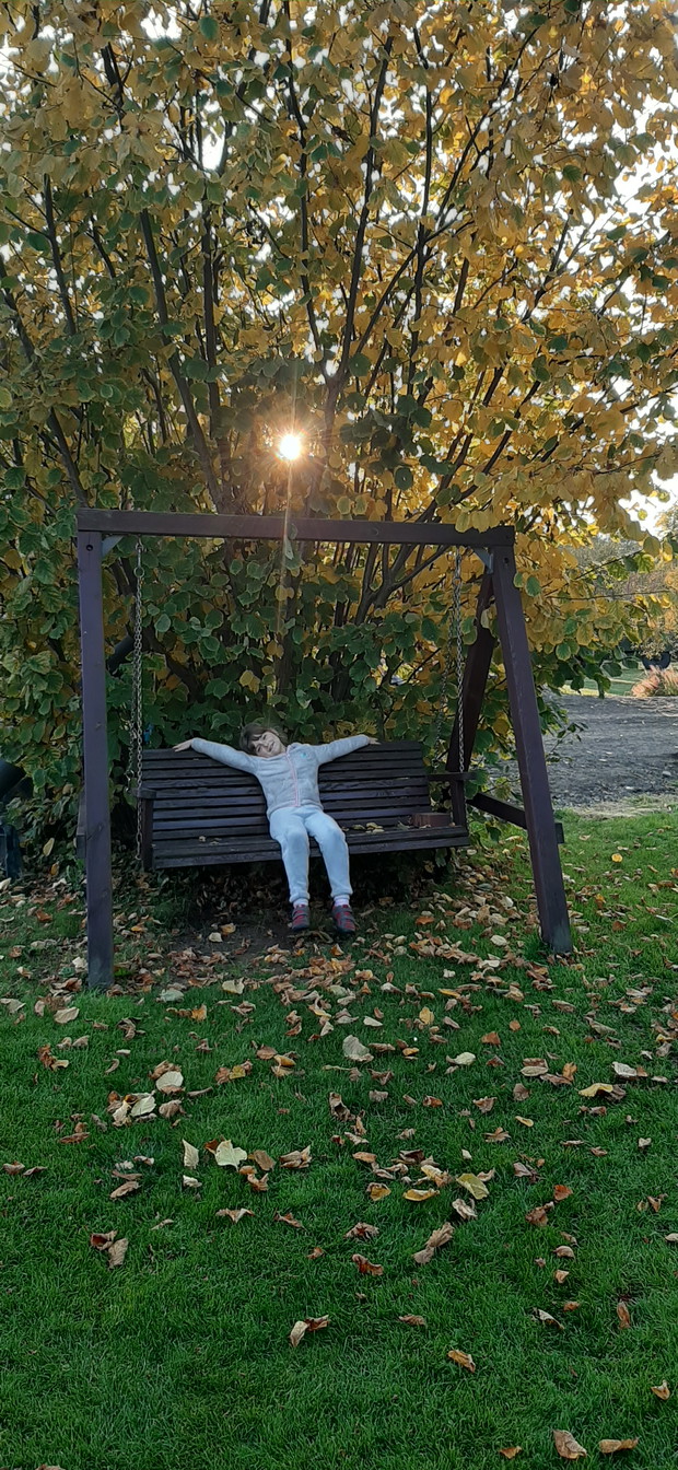 Rodzinny konkurs ogrodniczy