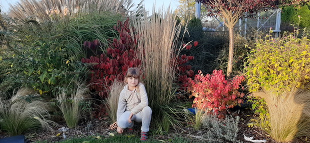 Rodzinny konkurs ogrodniczy