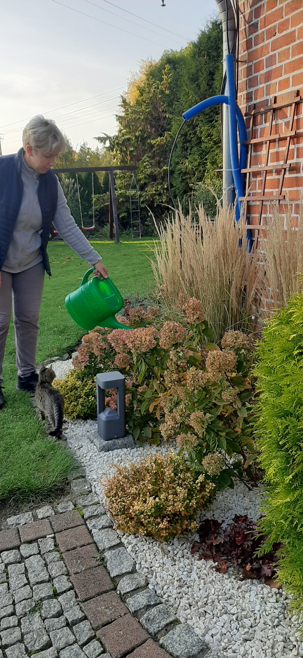 Rodzinny konkurs ogrodniczy