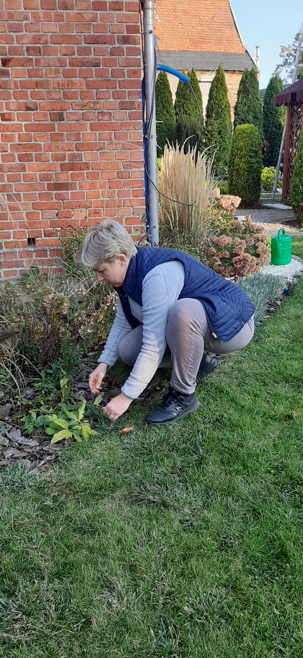 Rodzinny konkurs ogrodniczy
