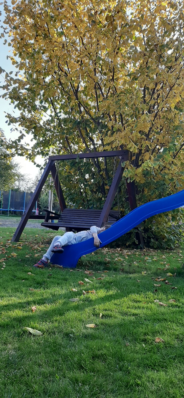 Rodzinny konkurs ogrodniczy