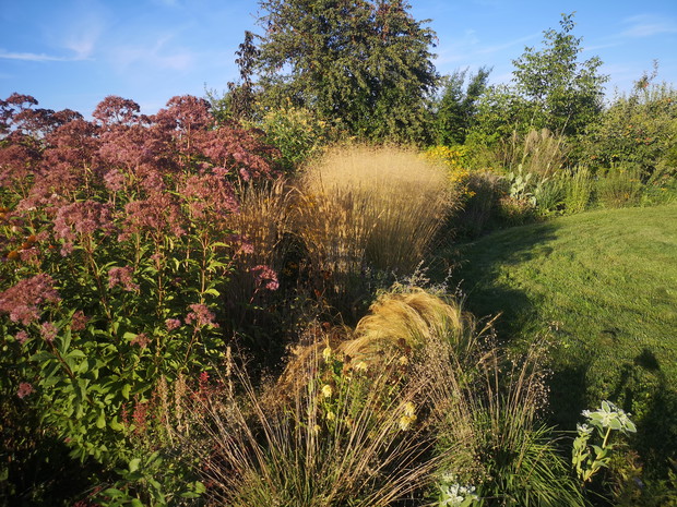 Swobodnie - ekologicznie