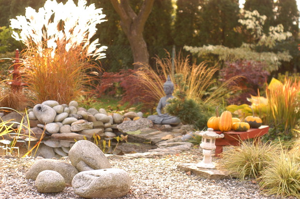 Widok na fragment ogrodu z oczkiem wodnym