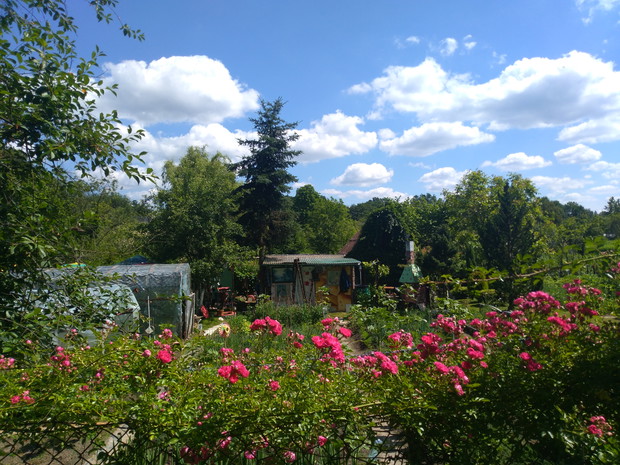 Widok na naszą działkę z drogi