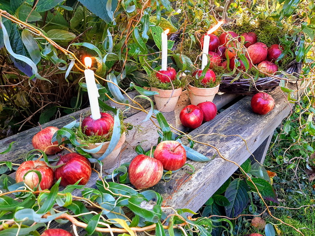 Jabłuszka z naszego sadu.