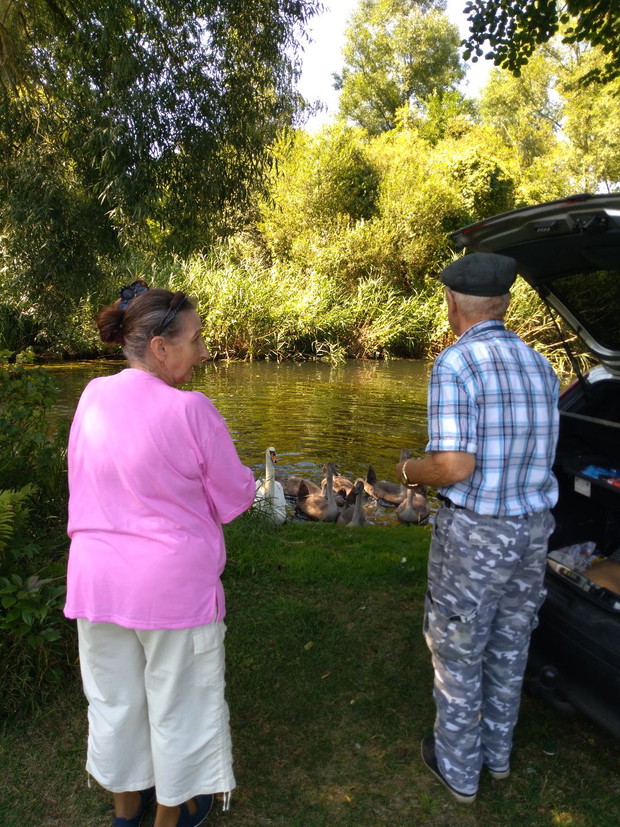 Karmimy kaczki i łabędzie - naszych nowych podopiecznych