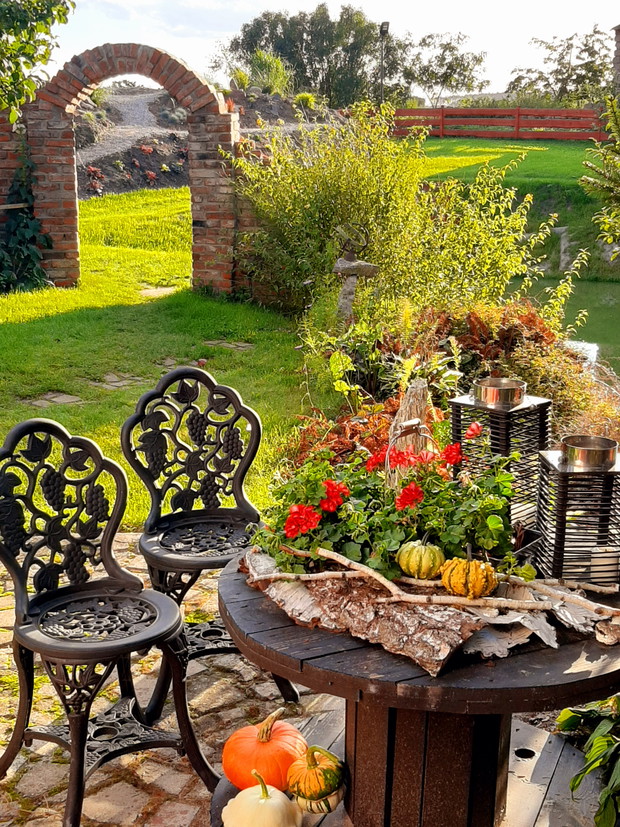 Widok na dalszą część ogrodu.