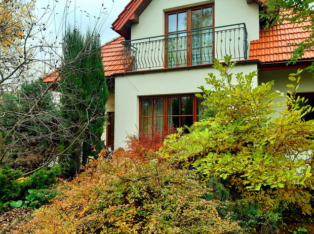 Jesień zagląda do okien