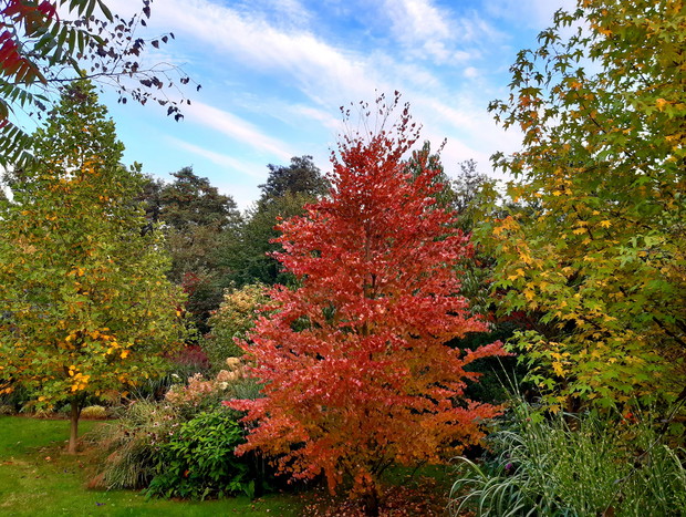 Jesienne kolory- intensywne i piękne