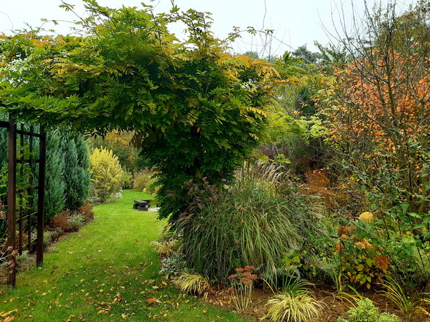 "Jeszcze w zielone gramy..."