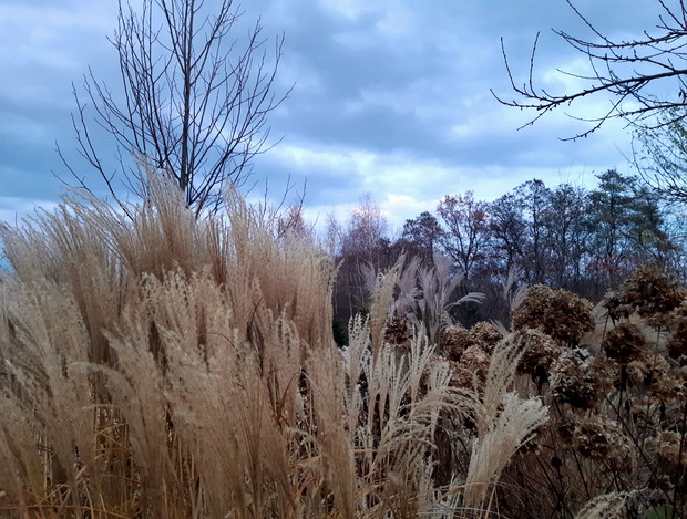 Kilka minut przed zmierzchem