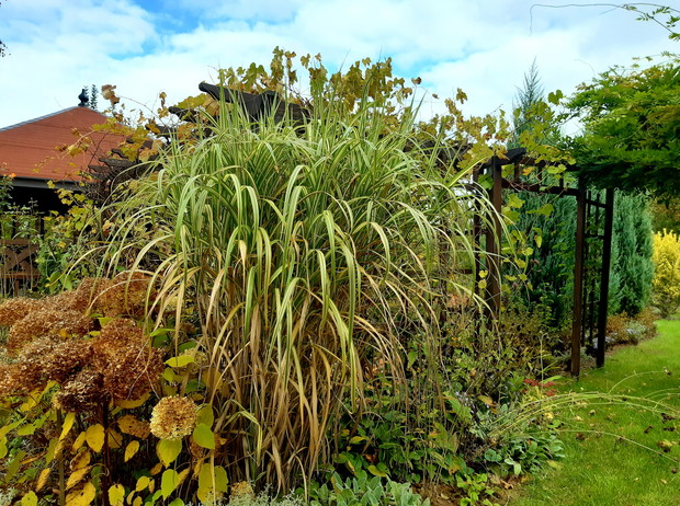 "Krótko mówiąc- październik"