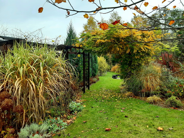 Lecą liście..., bo listopad