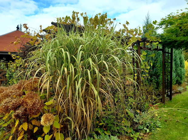 Niepowtarzalny jesienny klimat