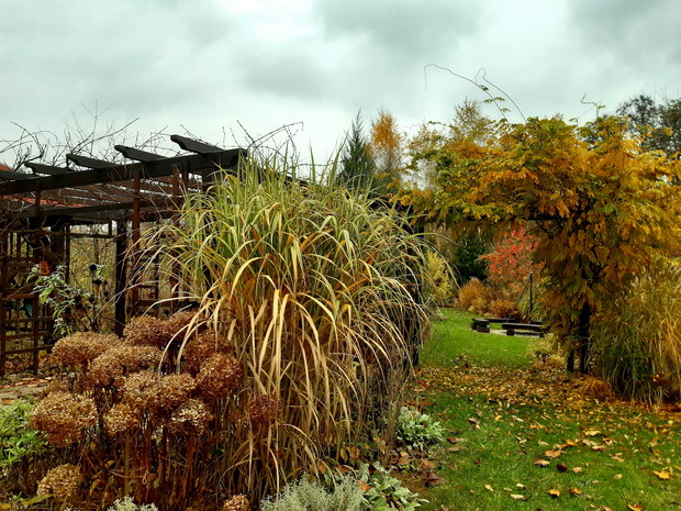 Październik w czerwieni i złocie