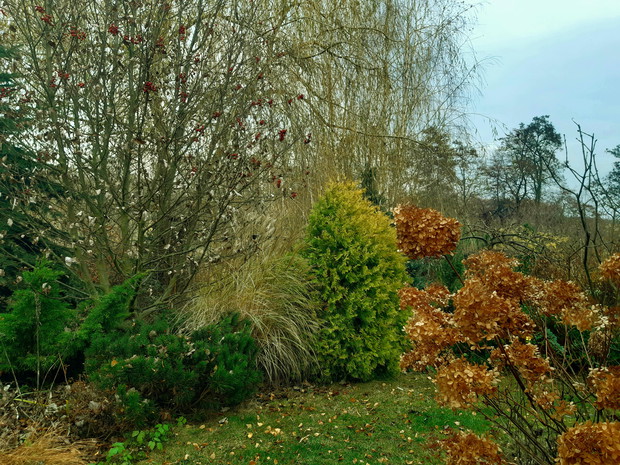 "Po prostu jesień..."