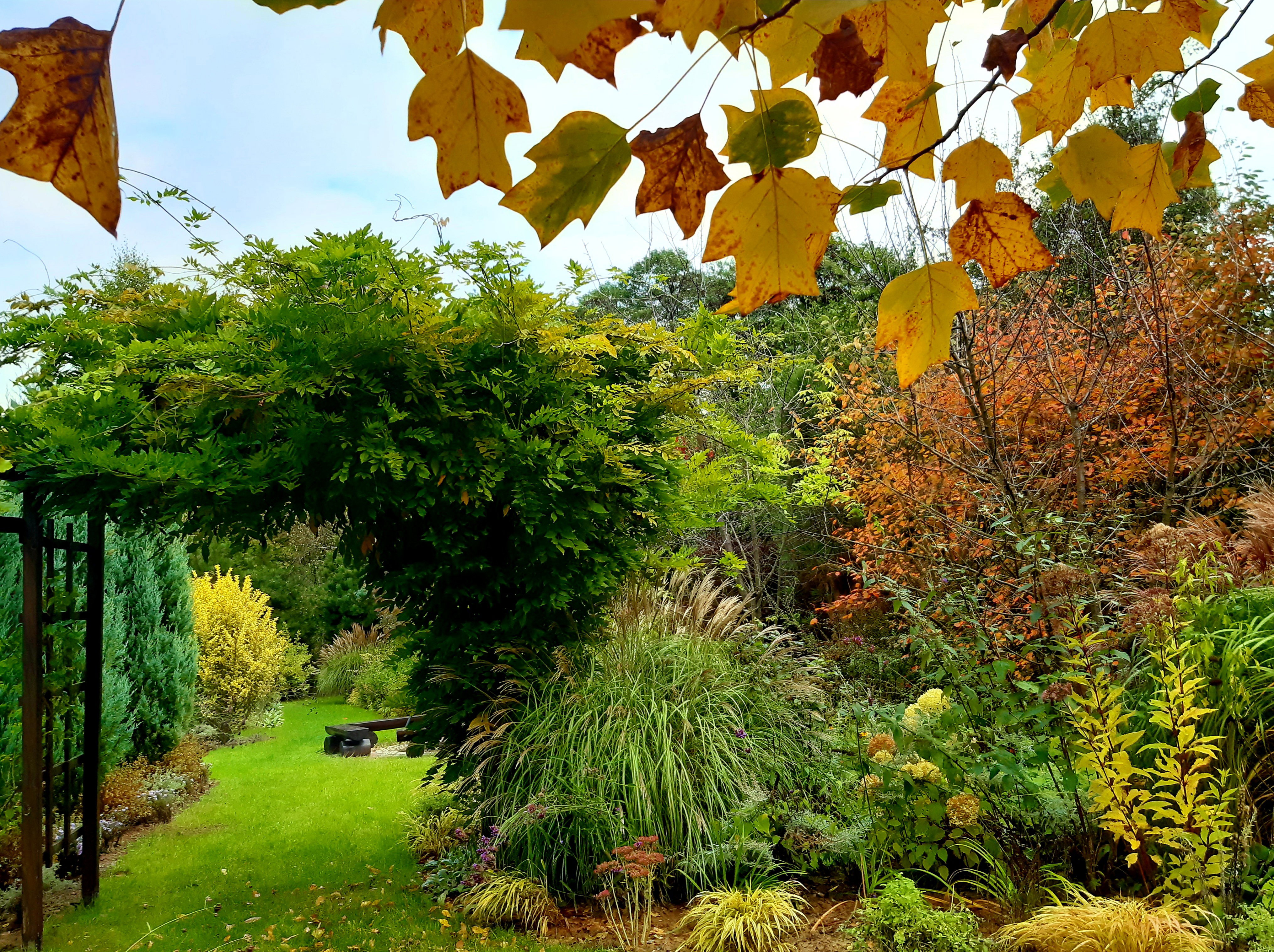 W ogrodzie rudej jesieni