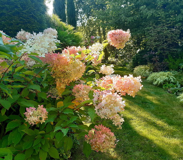 W promieniach jesiennego słońca