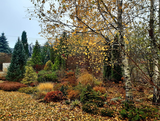 "W żółtych płomieniach liści..."