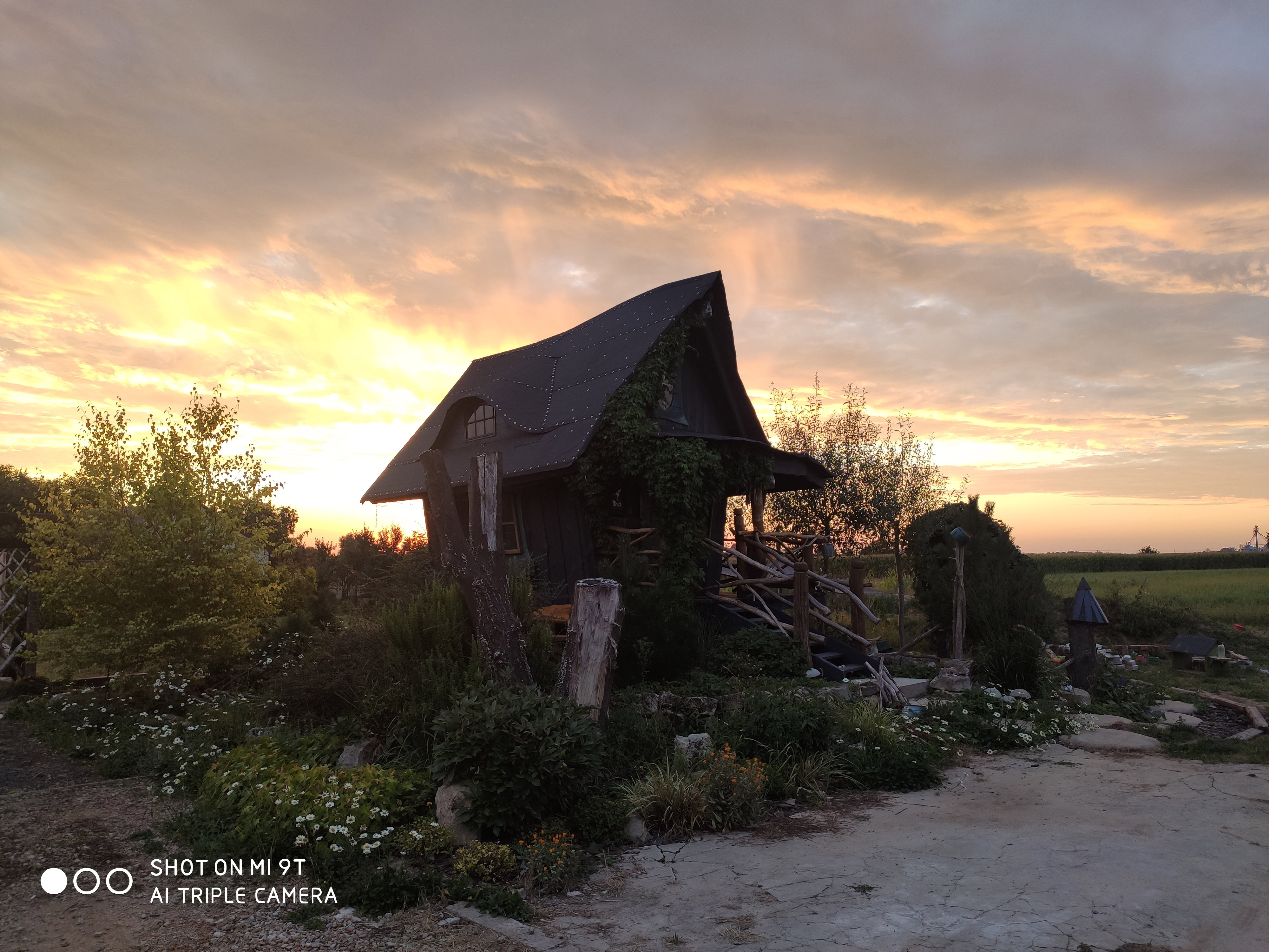 domek czarownicy o świcie