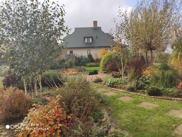 jesień - dom od strony ogrodu