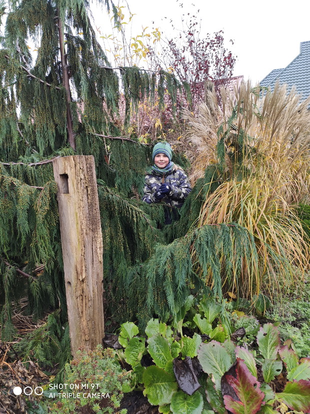jesień - i moje dziecie Jasio jak zwykle w ogrodzie