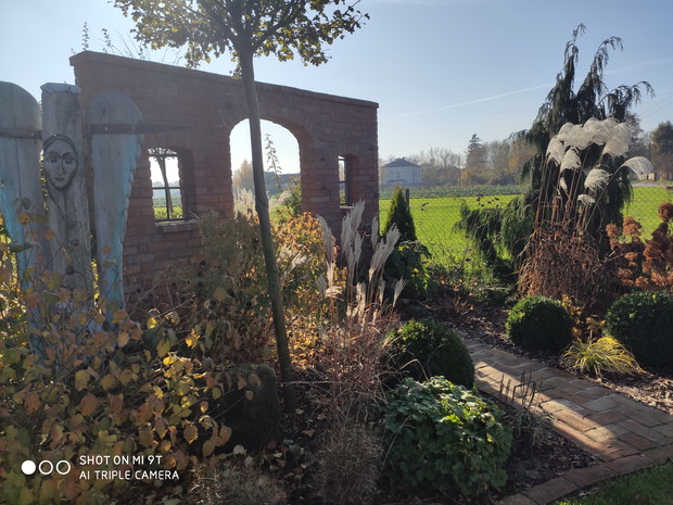 jesień - przedogródek