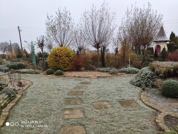 jesień - przymrozek