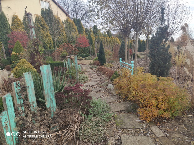 jesień - przymrozek