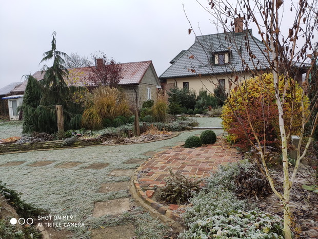 jesień - przymrozek