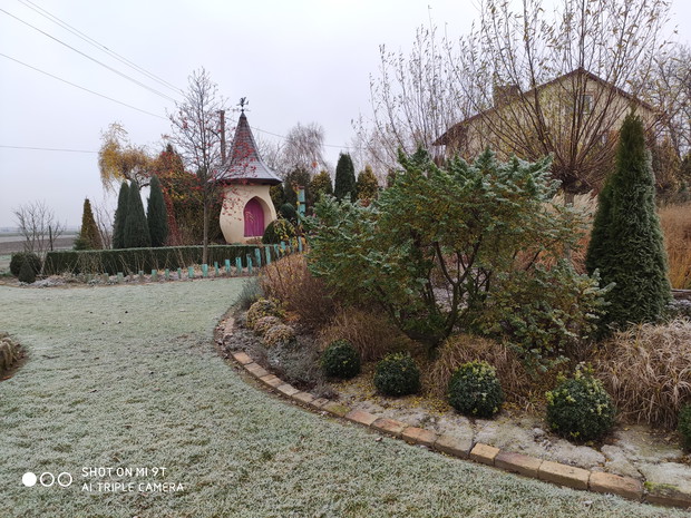 jesień - przymrozek