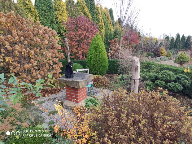 jesień - stół kamienny