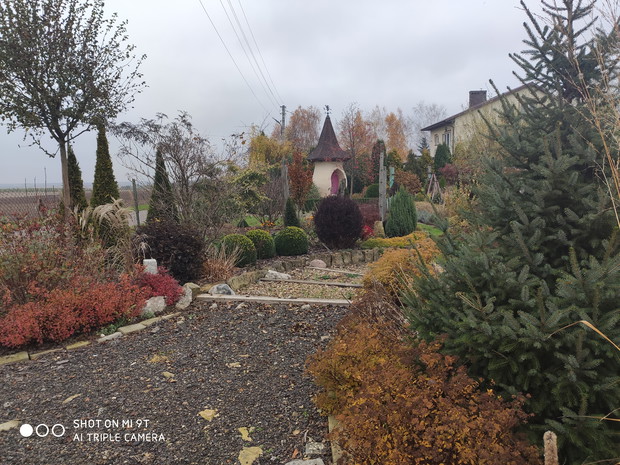 jesień - wejście z ulicy do ogrodu